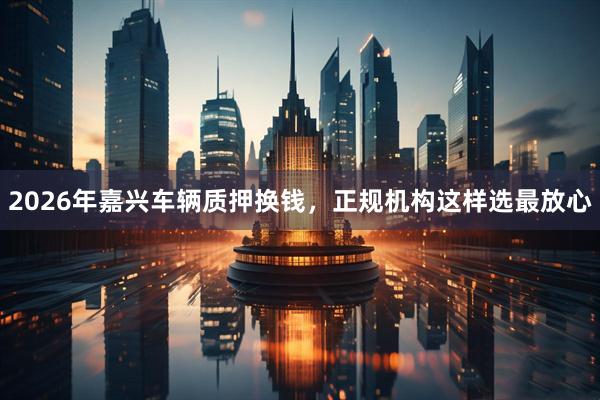 2026年嘉兴车辆质押换钱，正规机构这样选最放心