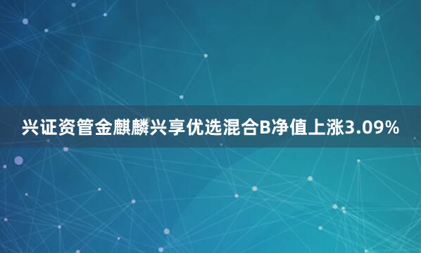 兴证资管金麒麟兴享优选混合B净值上涨3.09%