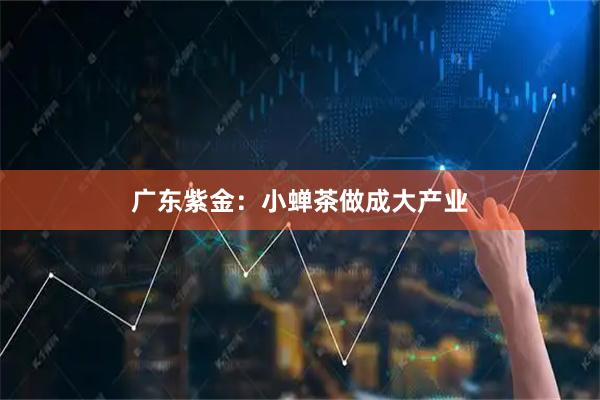 广东紫金：小蝉茶做成大产业