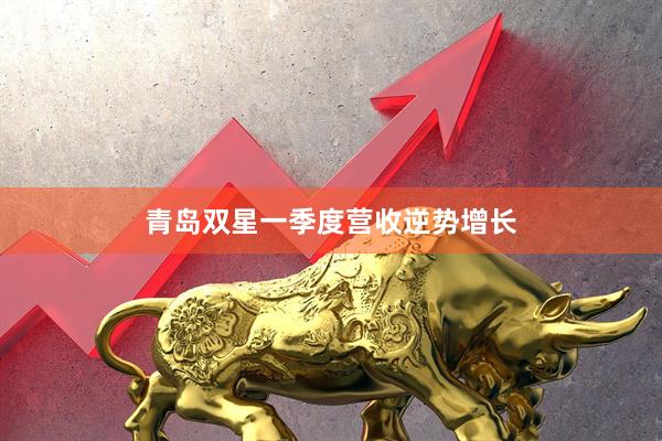 青岛双星一季度营收逆势增长