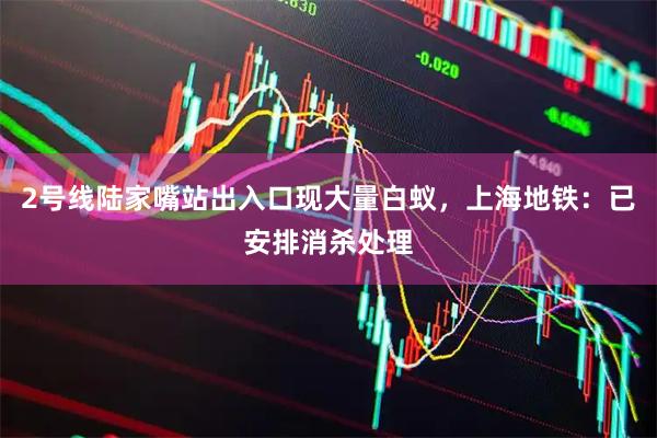 2号线陆家嘴站出入口现大量白蚁，上海地铁：已安排消杀处理