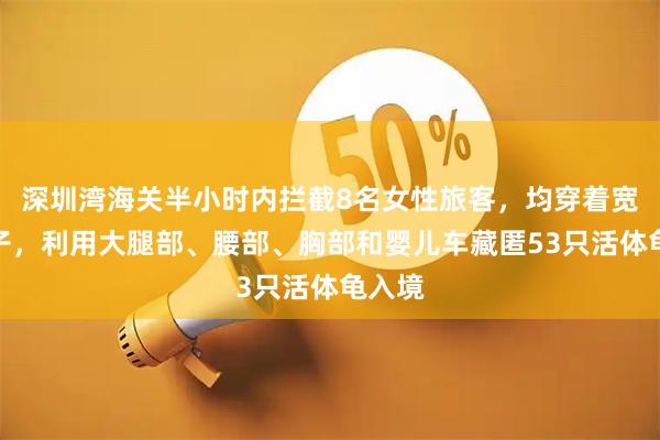 深圳湾海关半小时内拦截8名女性旅客,均穿着宽大裙子,利用大腿部、腰部、胸部和婴儿车藏匿53只活体龟入境
