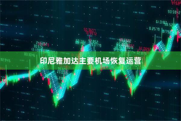 印尼雅加达主要机场恢复运营